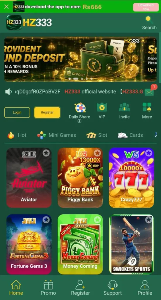 hz333 game